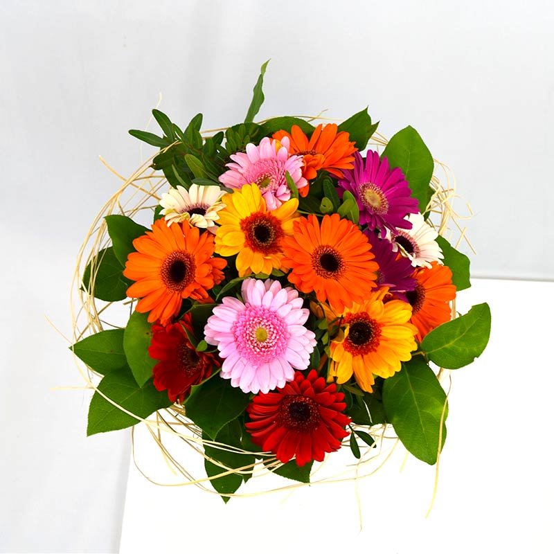 Inclinarse pulmón menú Ramo de gerberas Xenia : , Naturkenva | Ramos de flores para regalar