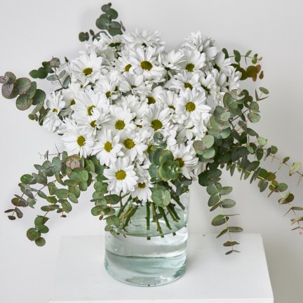 Comprar Ramos de Flores Blancas | Tienda Online Naturkenva