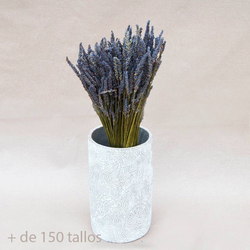 ramo seco lavanda