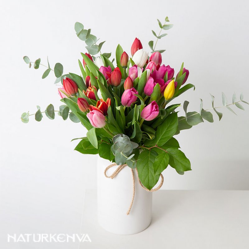 Ramo de tulipanes Burgos - 29,90€ : , Naturkenva | Ramos de flores para regalar Ramo de tulipanes Burgos - 29,90€ : , Naturkenva | Ramos de flores para regalar