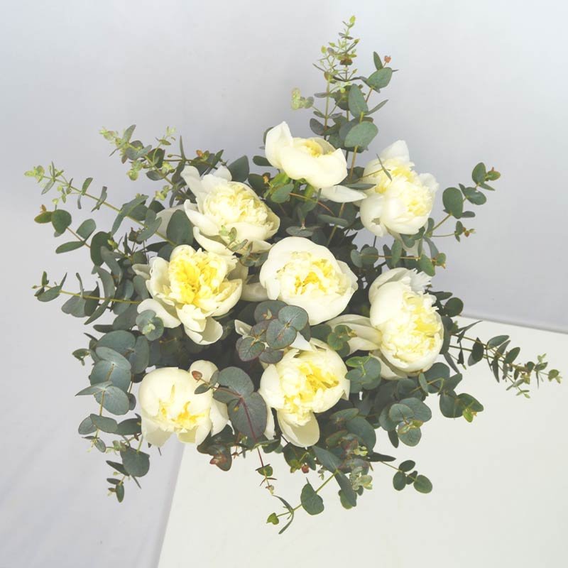 Ramo de peonías Blancas : , Naturkenva | Ramos de flores para regalar