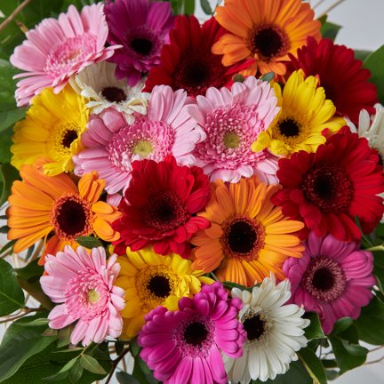 ramo de gerberas bizet_1