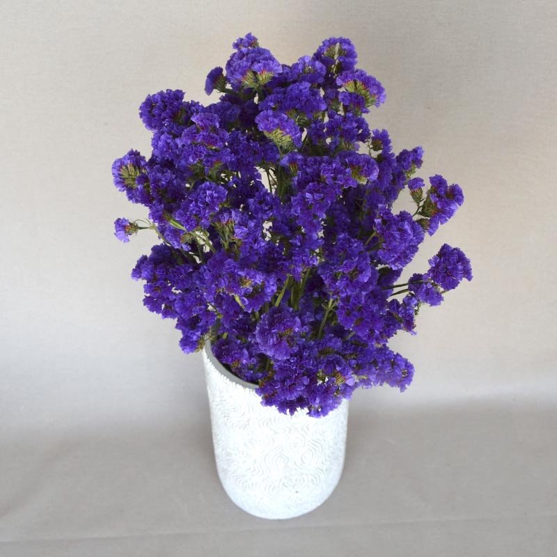 Ramo seco Siempreviva azul - 21,90€ : , Naturkenva | Ramos de flores para  regalar