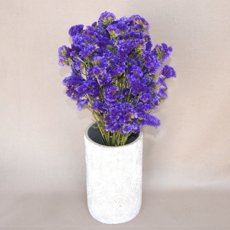 Ramo seco Siempreviva azul - 21,90€ : , Naturkenva | Ramos de flores para  regalar