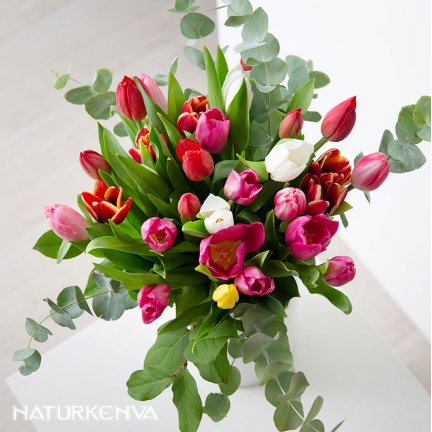 ramo de tulipanes burgos_5