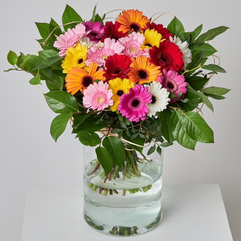 Ramo de gerberas Bizet - 22,90€ : , Naturkenva | Ramos de flores para  regalar