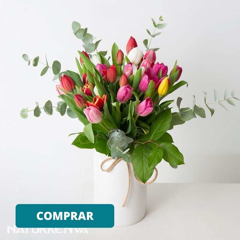 Comprar ramo de tulipanes variados