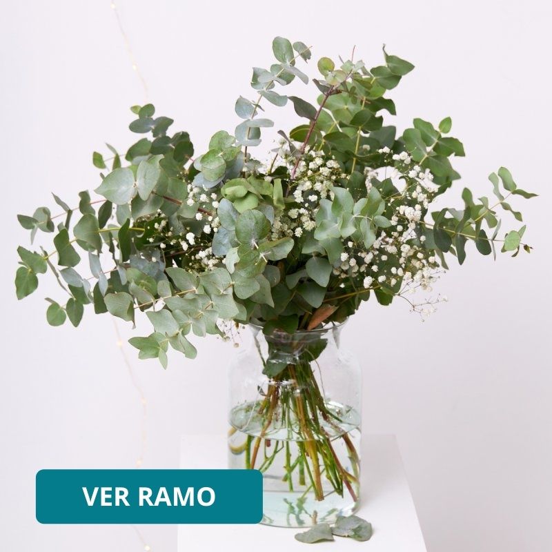 Ramas de hojas de eucalipto natural, paquete de eucalipto seco, arreglo de  flores secas, eucalipto para jarrón, decoración del hogar, decoración de  bodas -  México