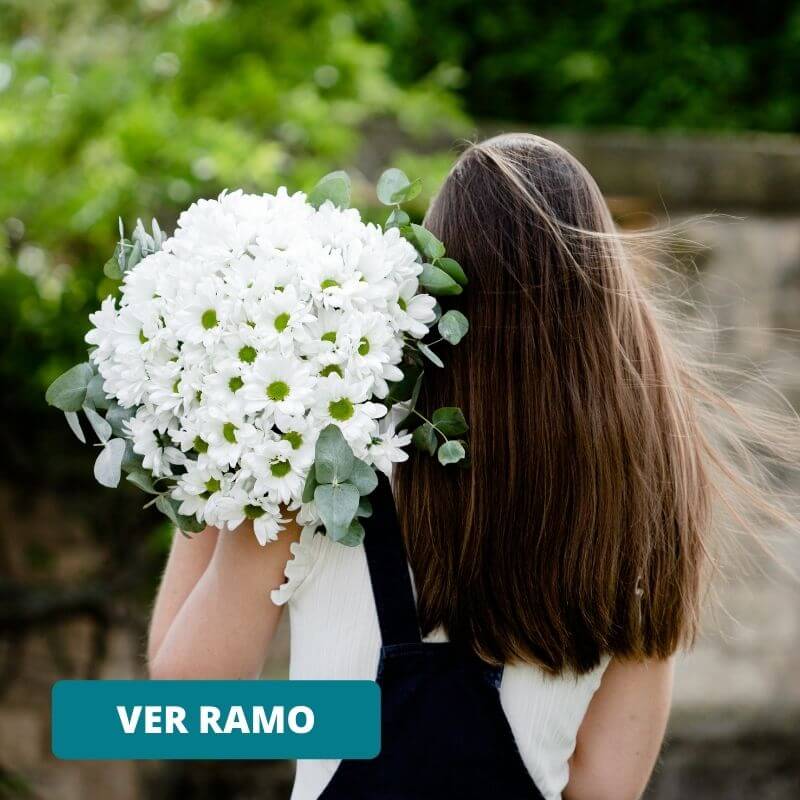 Descubre cuál es tu flor según tu horóscopo : , Naturkenva | Ramos de flores para regalar Descubre cuál es tu flor según tu horóscopo : , Naturkenva | Ramos de flores para regalar