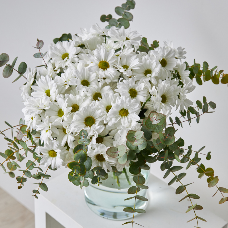 Aprende a conservar un ramo de flores a domicilio : , Naturkenva