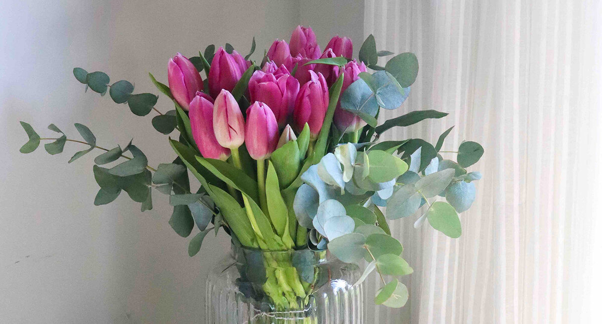 Cómo cuidar un ramo de tulipanes para que te dure más tiempo : , Naturkenva  | Ramos de flores para regalar